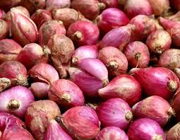 Bawang Merah